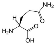 L-glutamine in Keto Diet